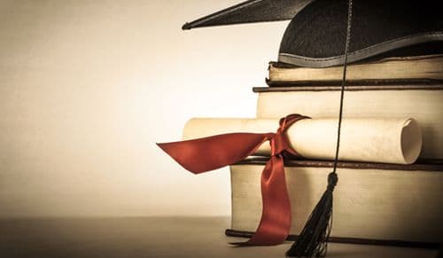 Identity Dynamics in Research Institute | Public Sector
