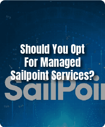 Should You Opt For Managed Sailpoint Services?