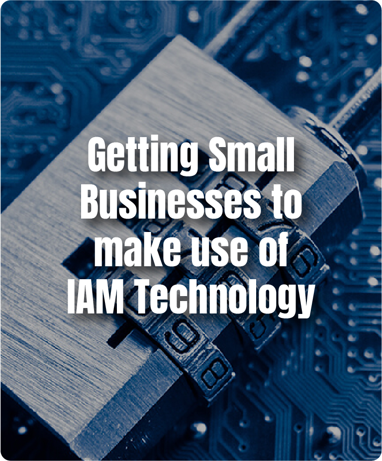 https://www.avancercorp.com/wp-content/uploads/2024/06/Getting-Small-Businesses-to-make-use-of-IAM-Technology.jpg