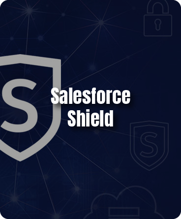 https://www.avancercorp.com/wp-content/uploads/2024/07/Salesforce-Shield.png